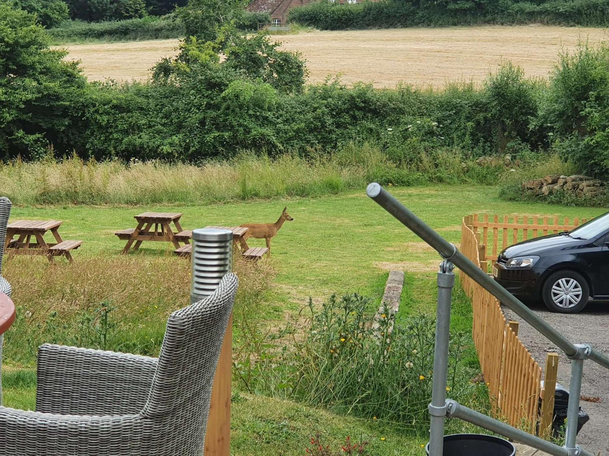 The Carpenters Arms Hotel Newbury  Eksteriør billede
